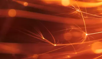 Maximum use temperature