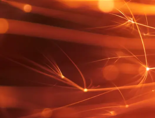 Maximum use temperature